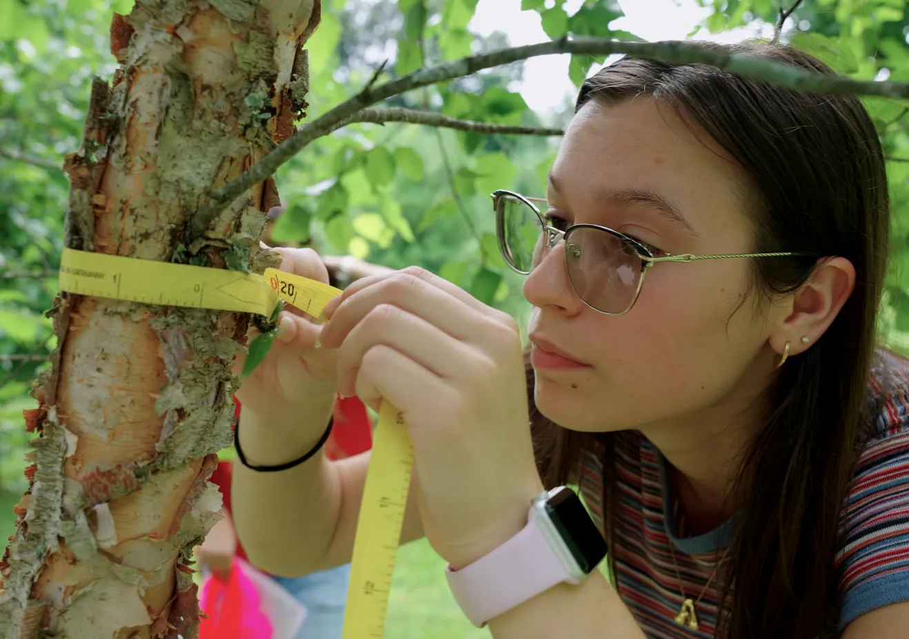 Addison measures a tree