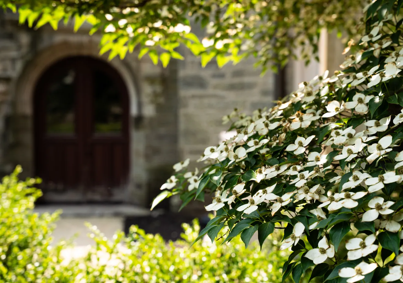 Arch & Flowers