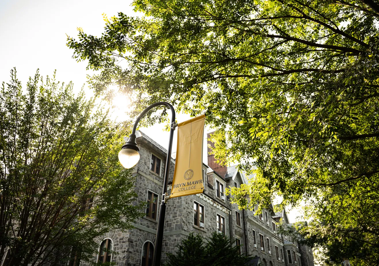 BMC Banner and Sunshine