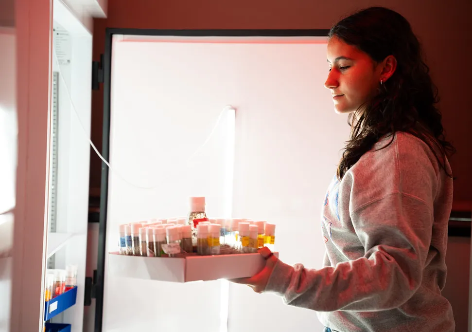 student putting test tubes into a freezer