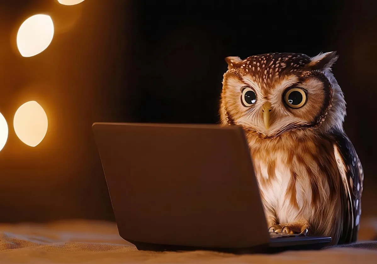 owl at laptop ai stock