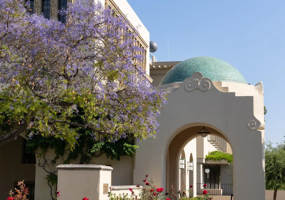 Cal Tech