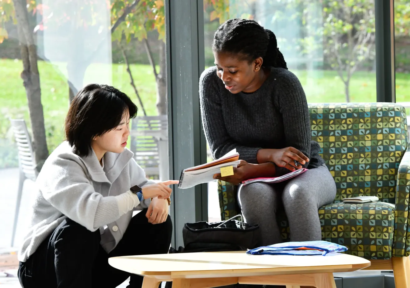 Students studying 