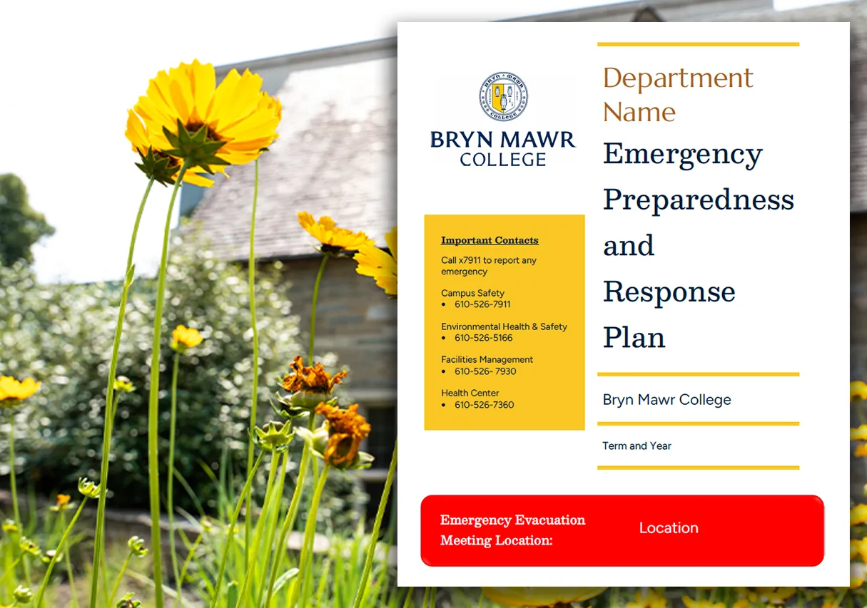 emergencyplantemplate