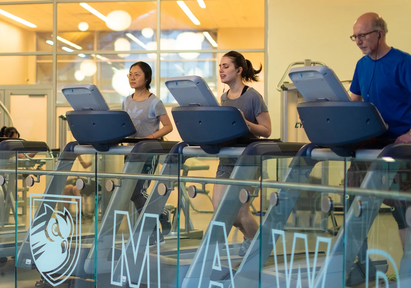 folks working out in the gym