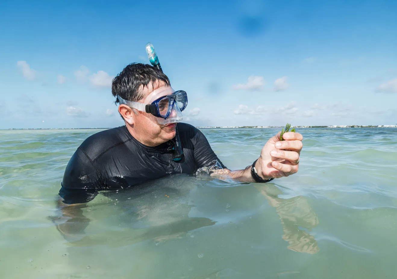 Man in scuba gear in the ocean
