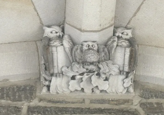 Three owls