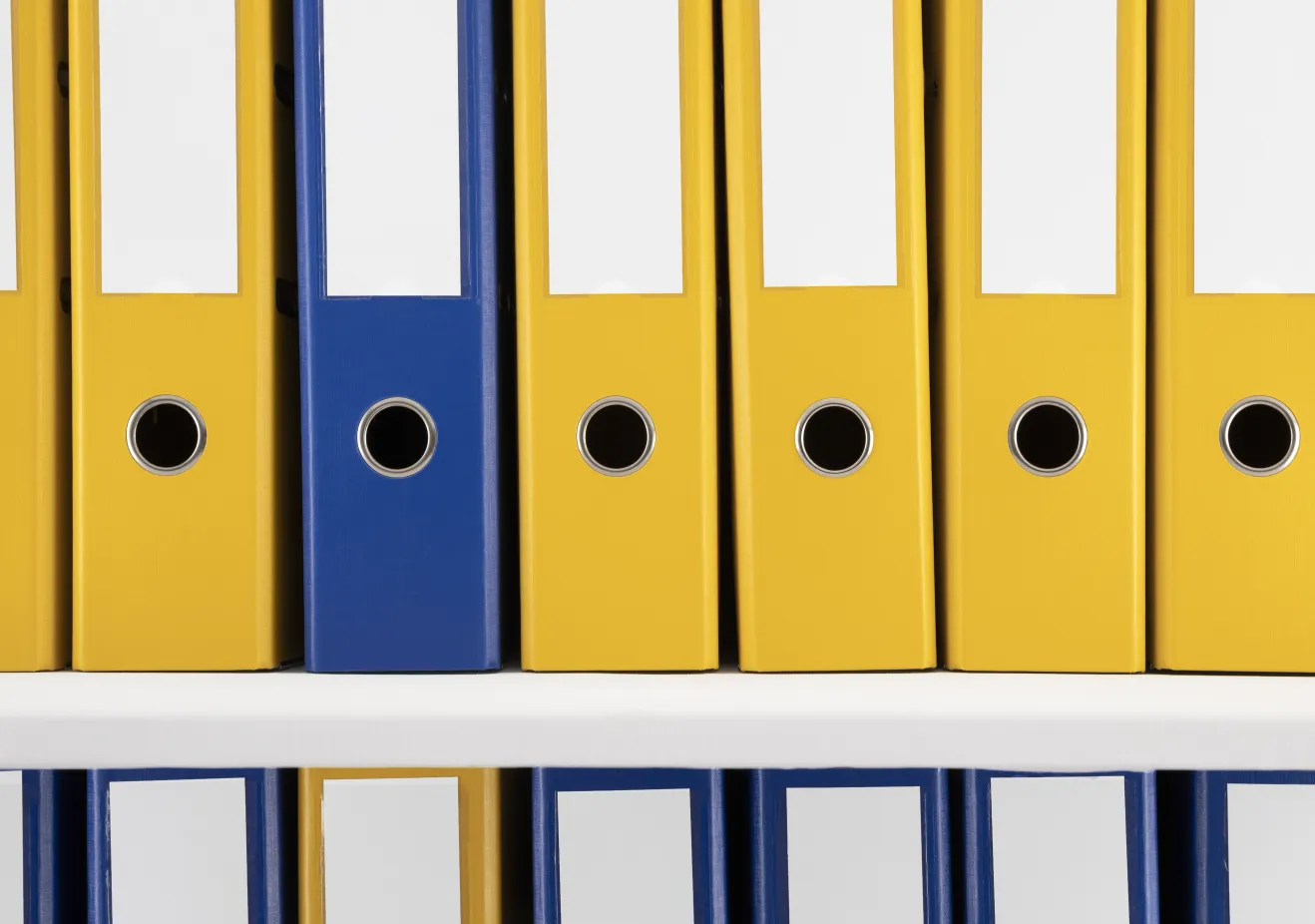 ring-binder-used-stored-documents