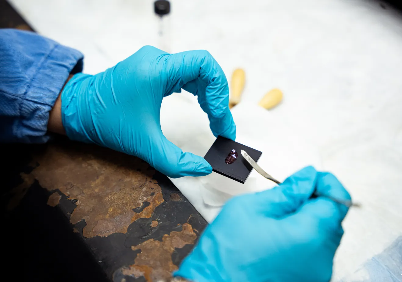 material being placed on a microscope slide