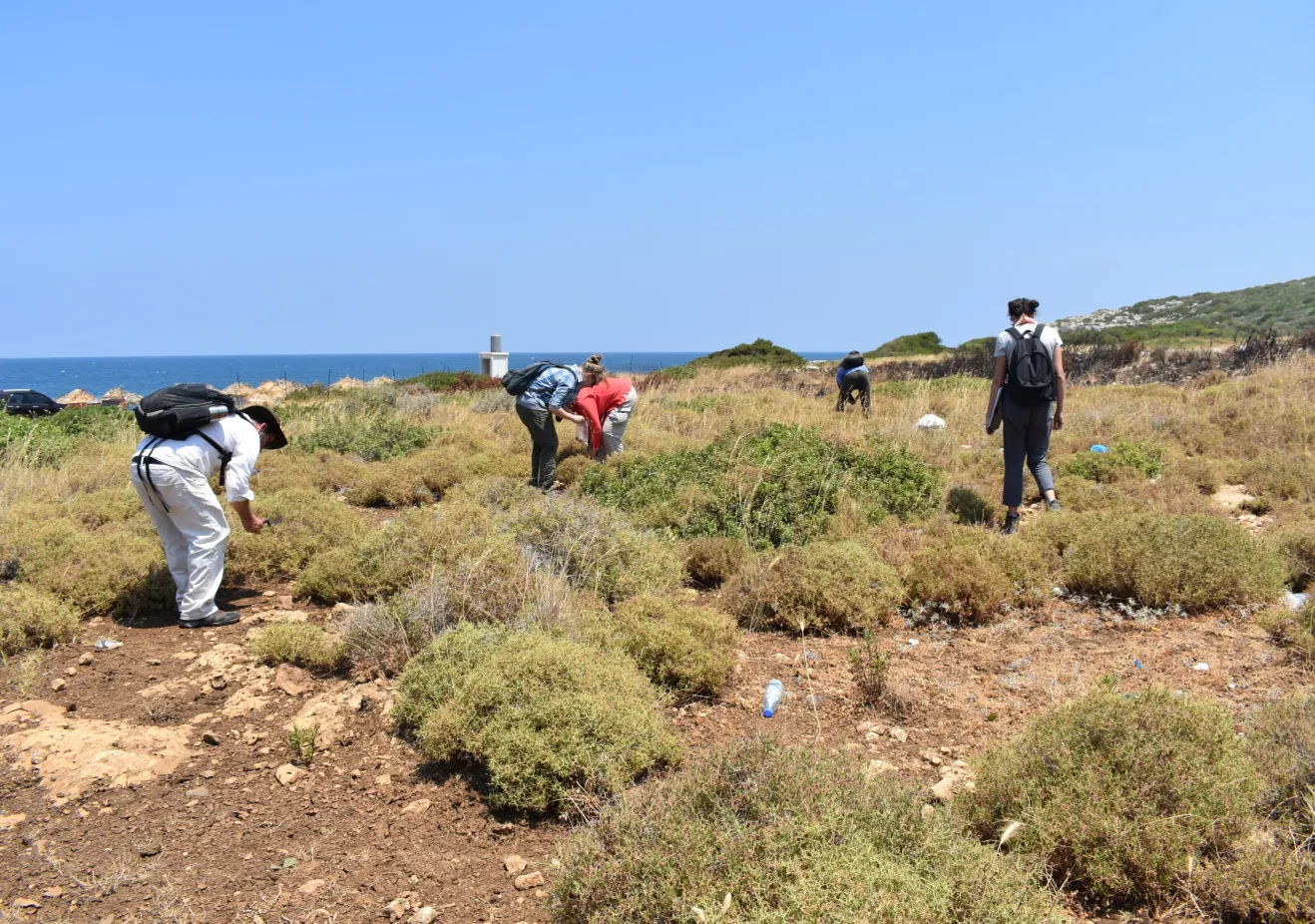 Phd in Archaeology fieldwork with graduate students