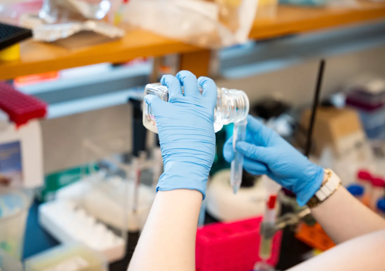 student doing undergraduate science research 