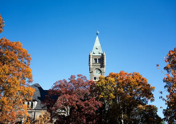 Clock tower above trees