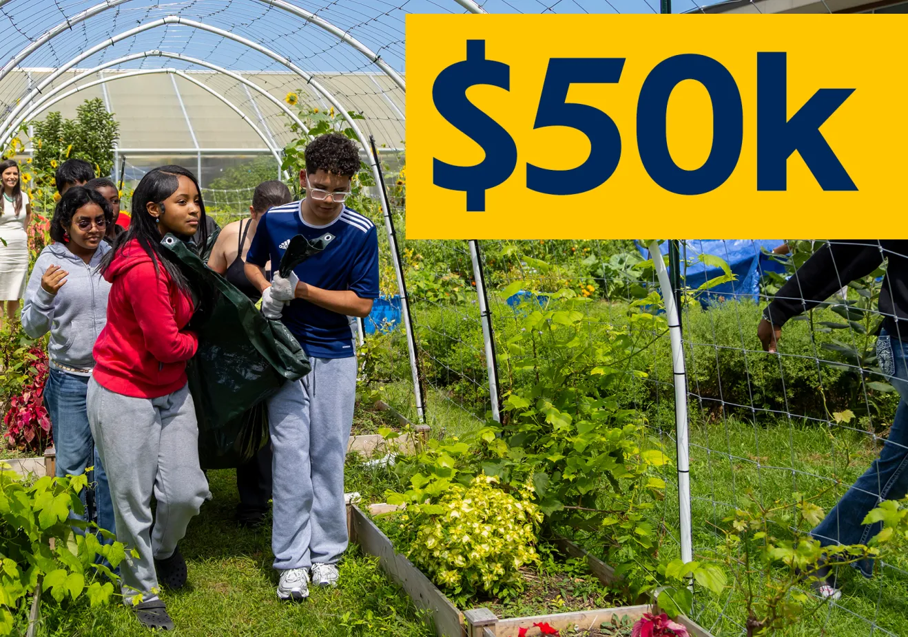Sustainability - 50k