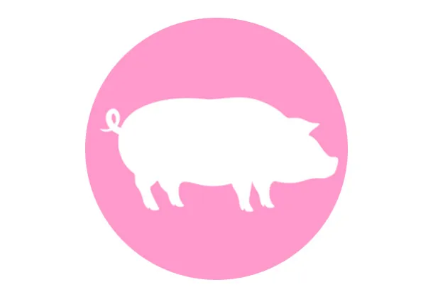 Pork