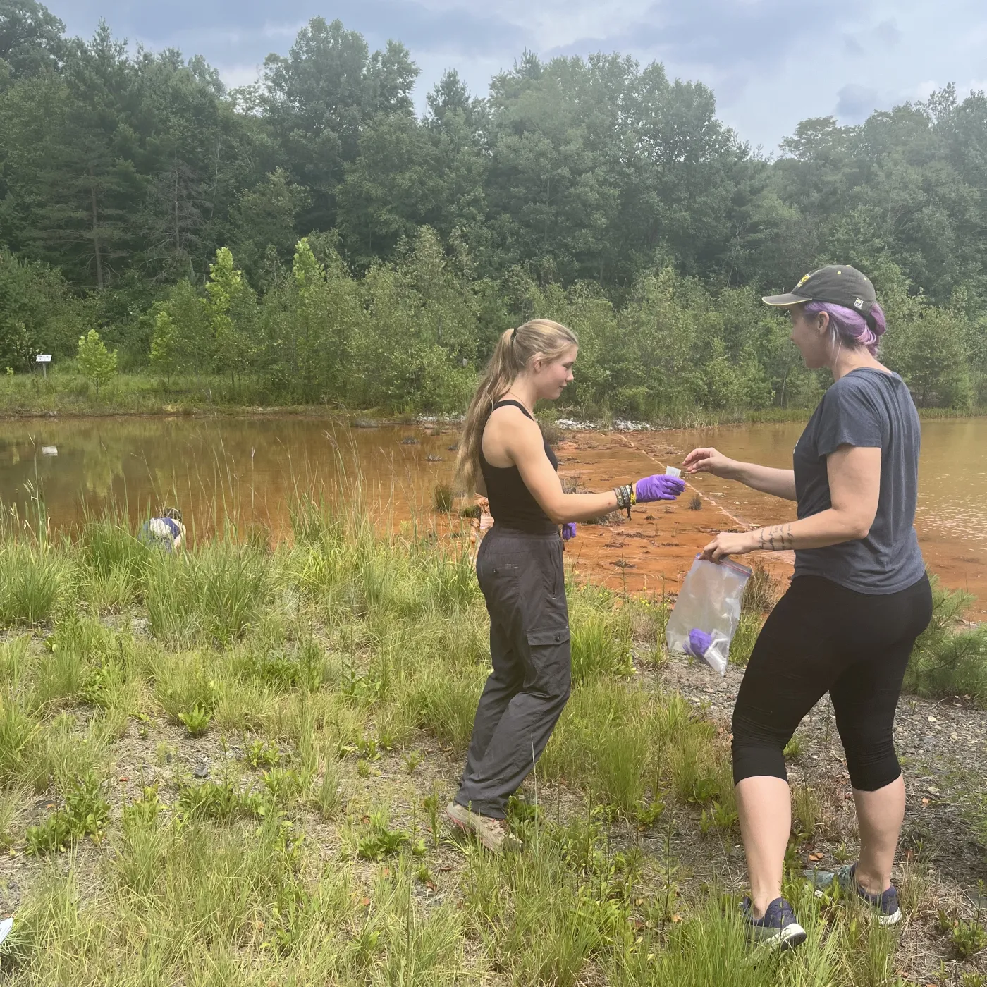 Hearth and Claire at ARD site. 