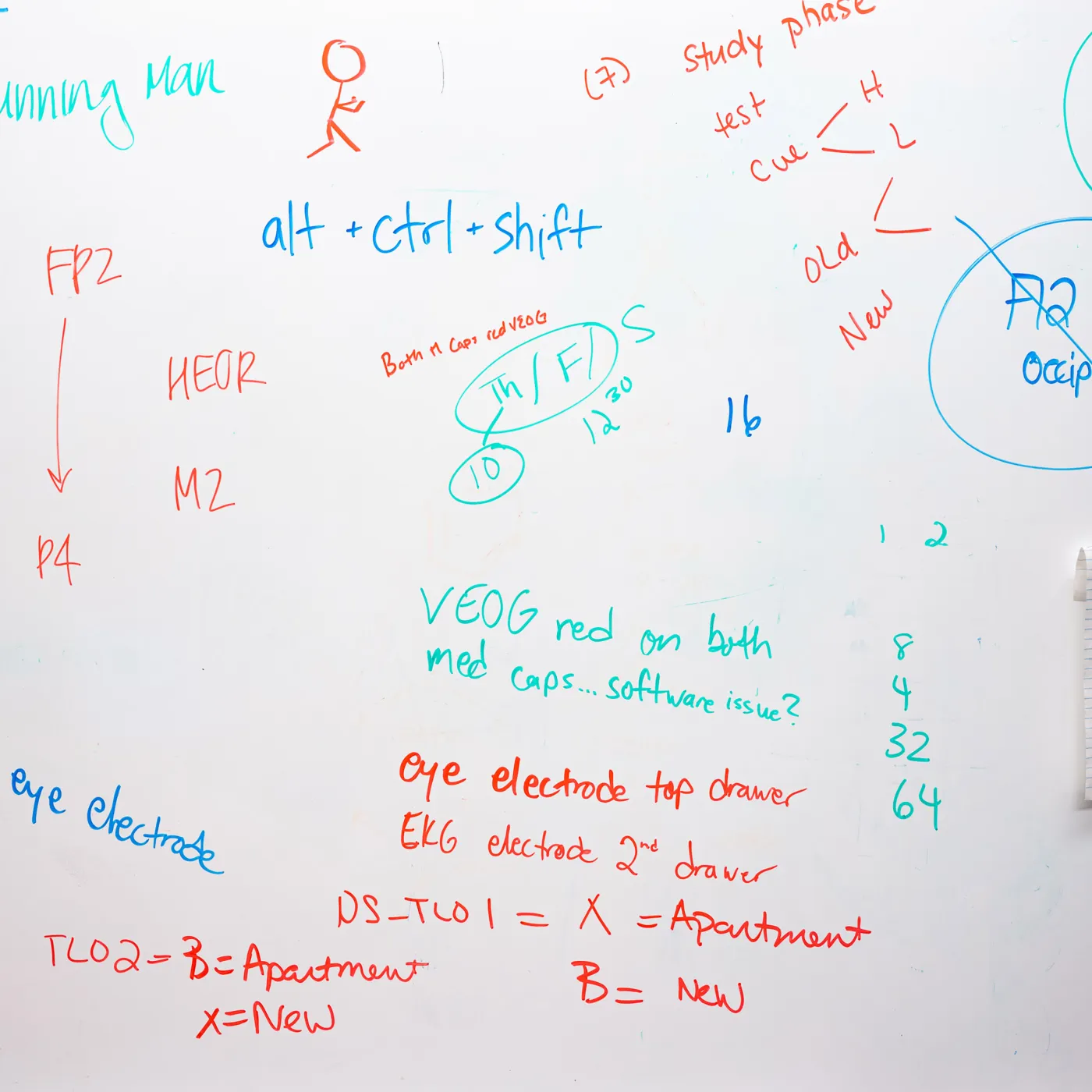 data science white board
