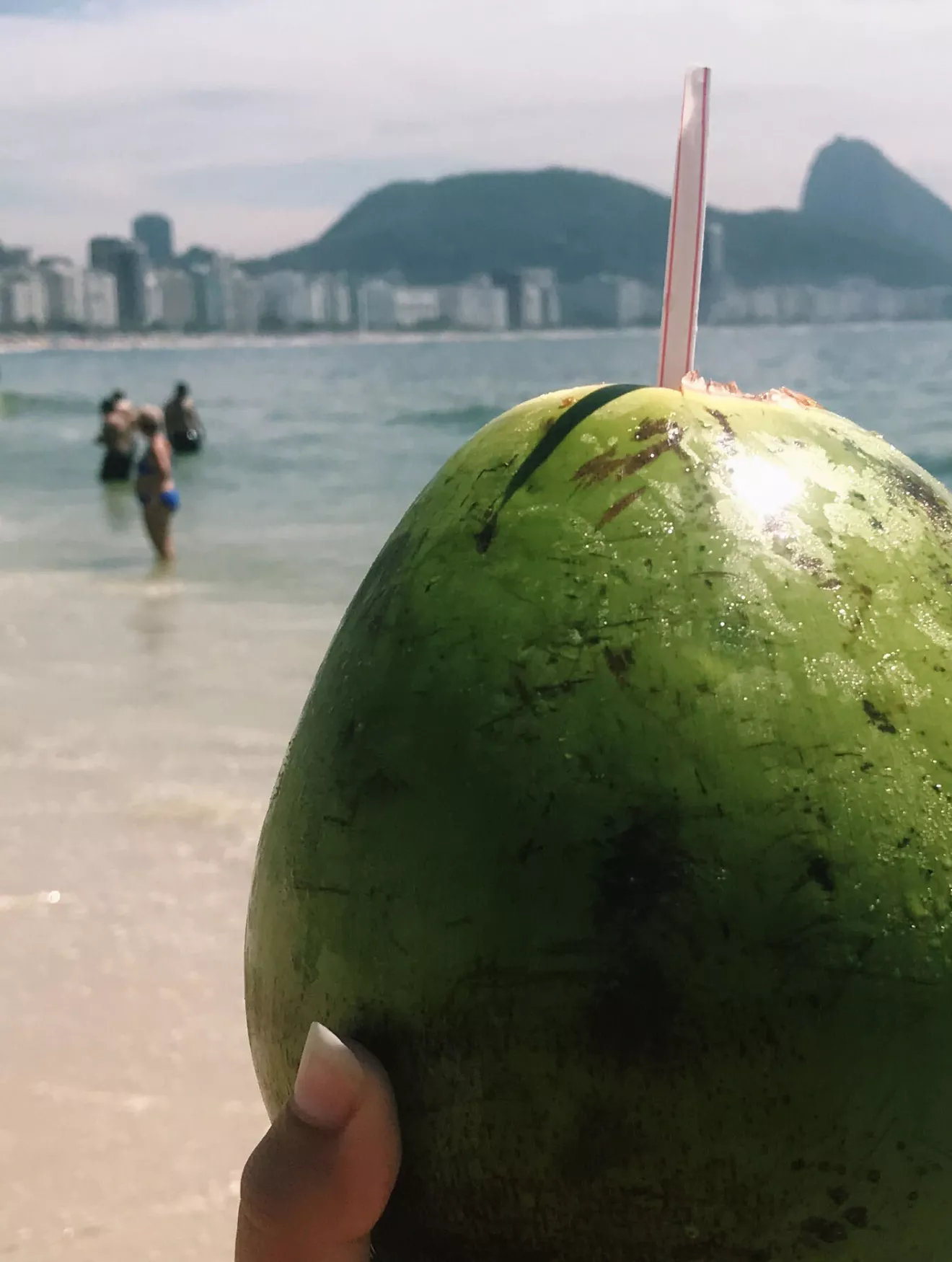 Coconut on beach in Brazil