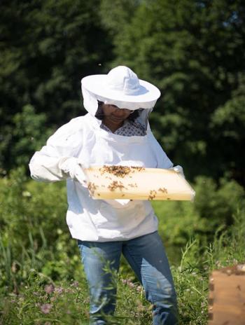 Ankitha Kannad in protective suit handling bees