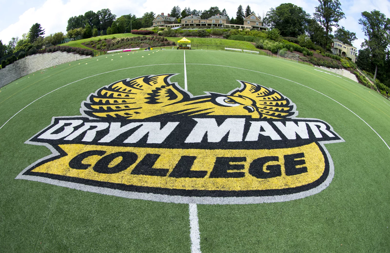 Athletics Turf