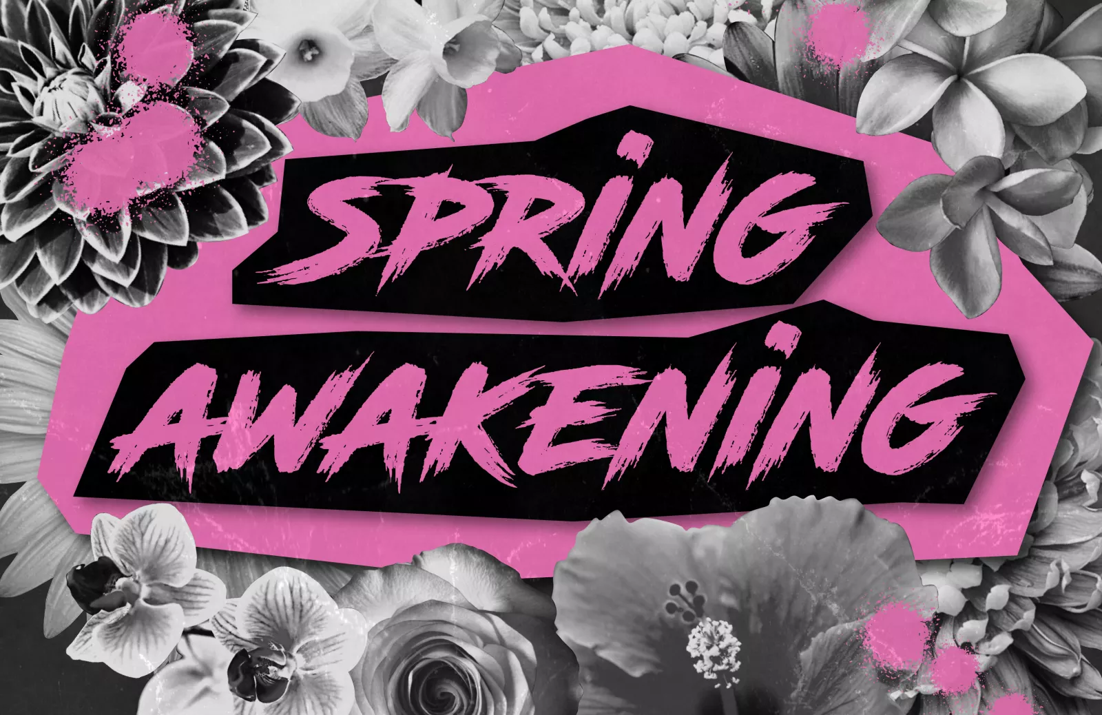 Spring Awakening Theater Performance Image