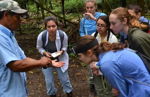 Group of 360 students in the field
