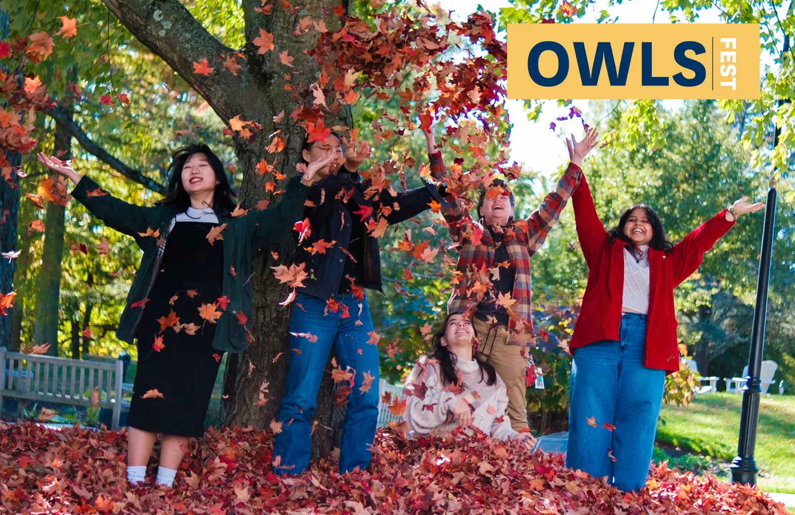Owls Fest - Destress