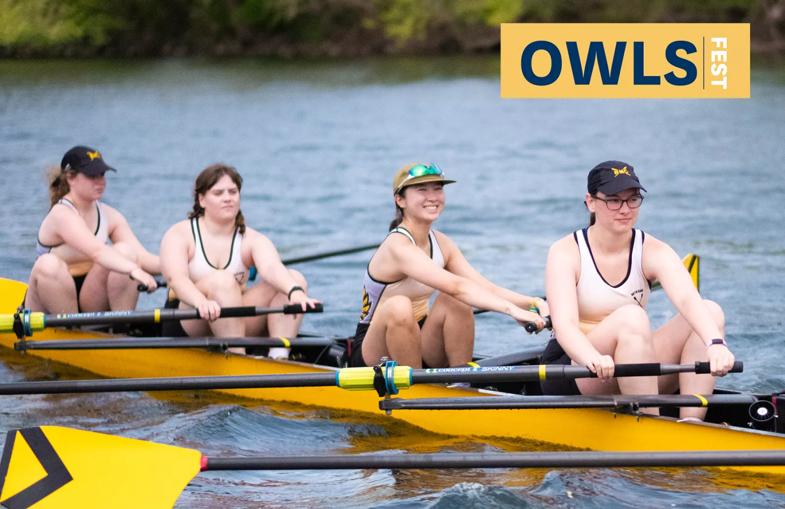 Owls Fest - Regatta