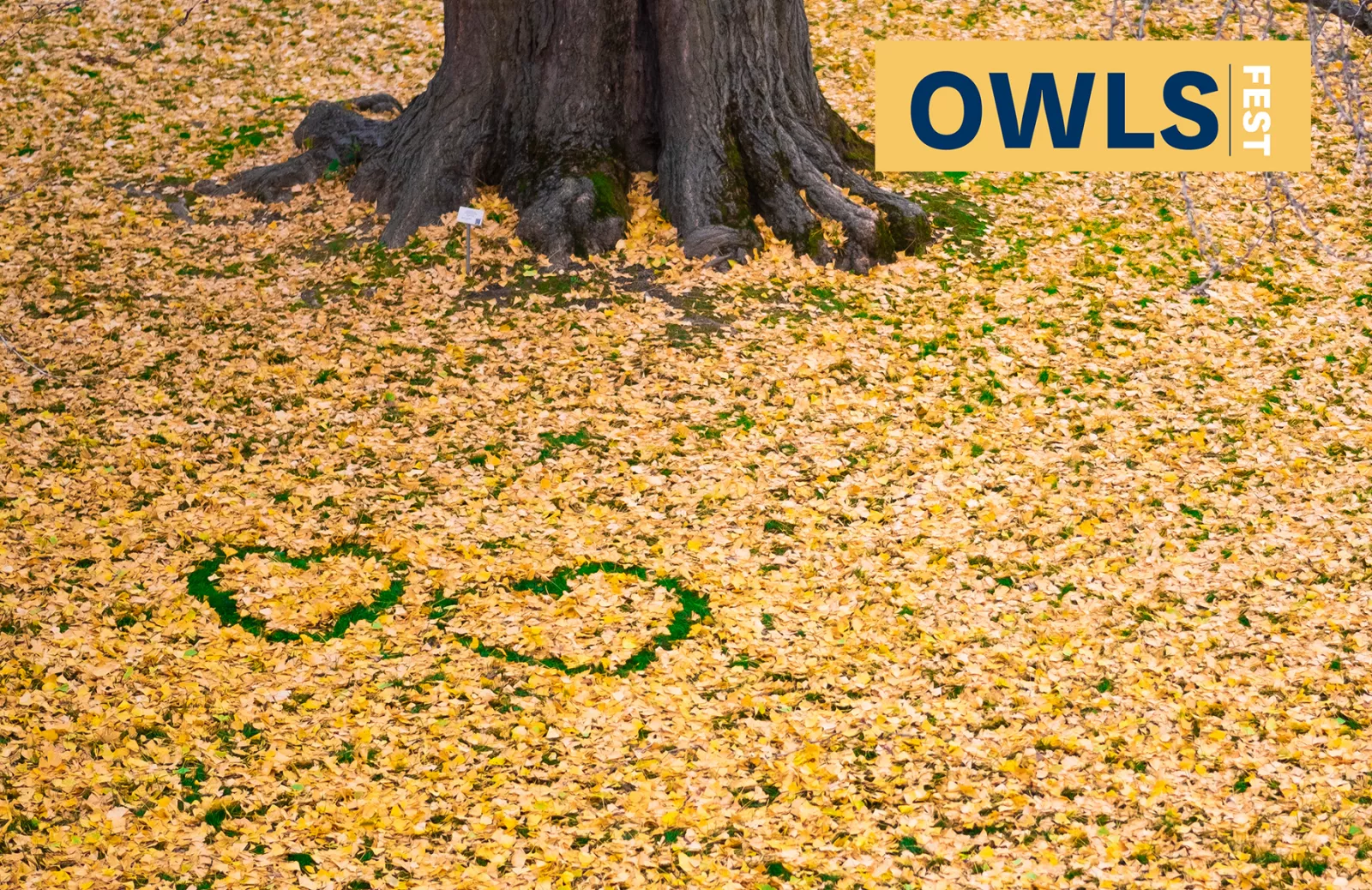 Owls Fest - Tapestry
