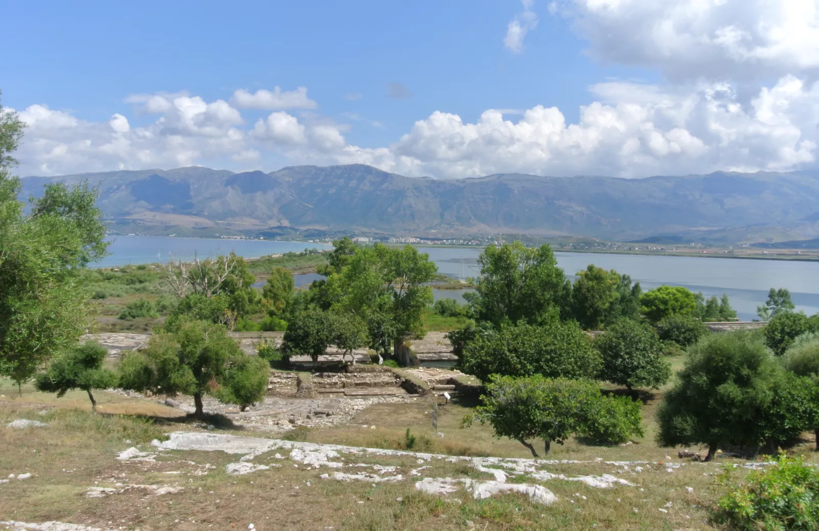 site image