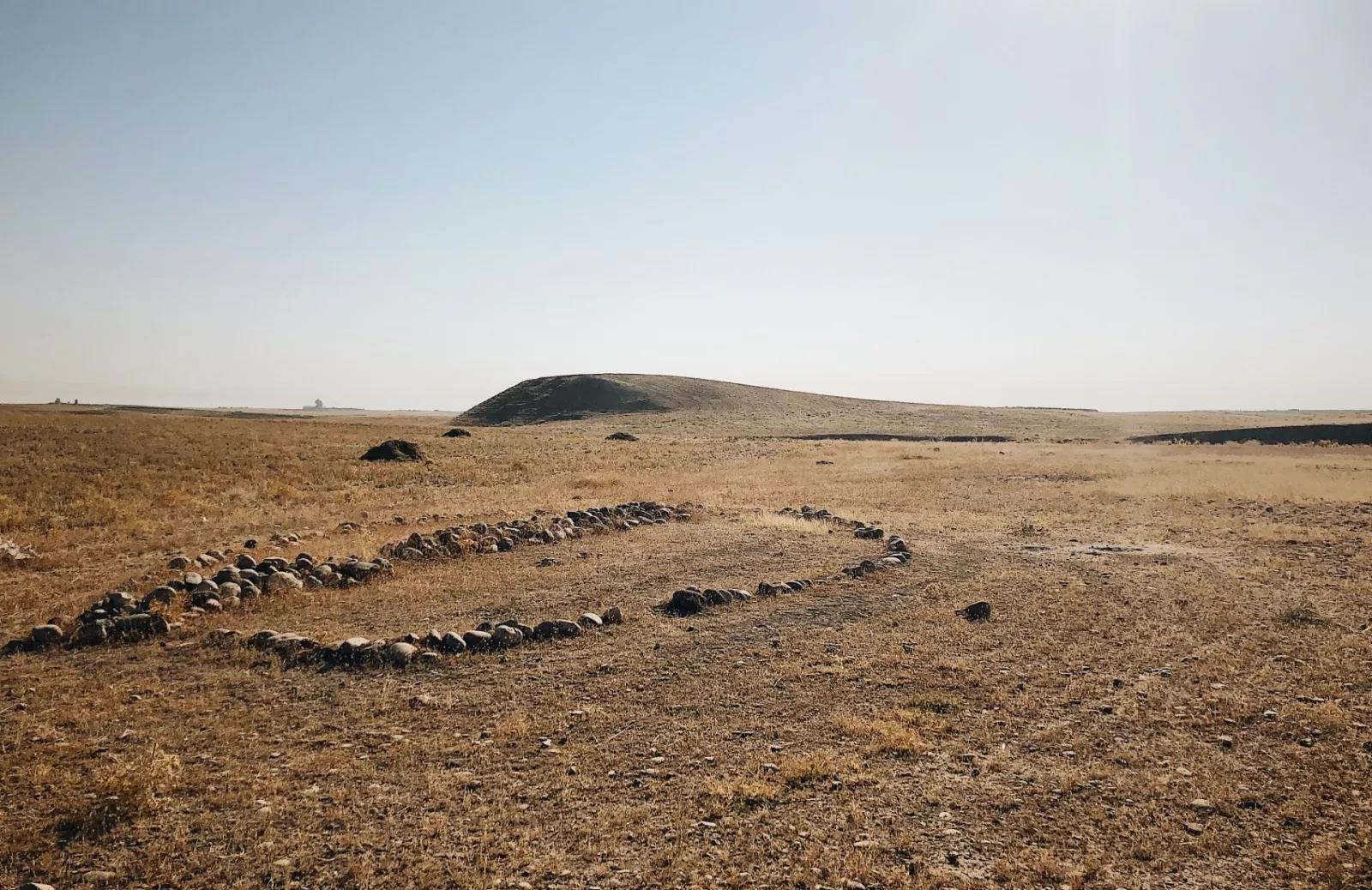 image of plain