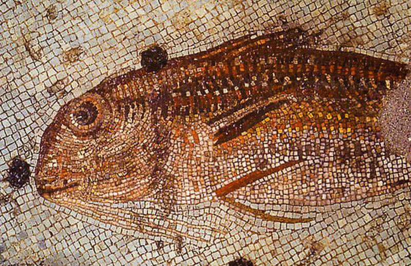 Fish mosaic