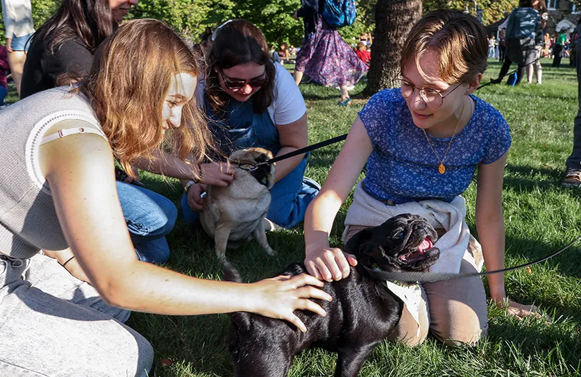 Convocation 2024 Community Picnic Students Petting Pugs