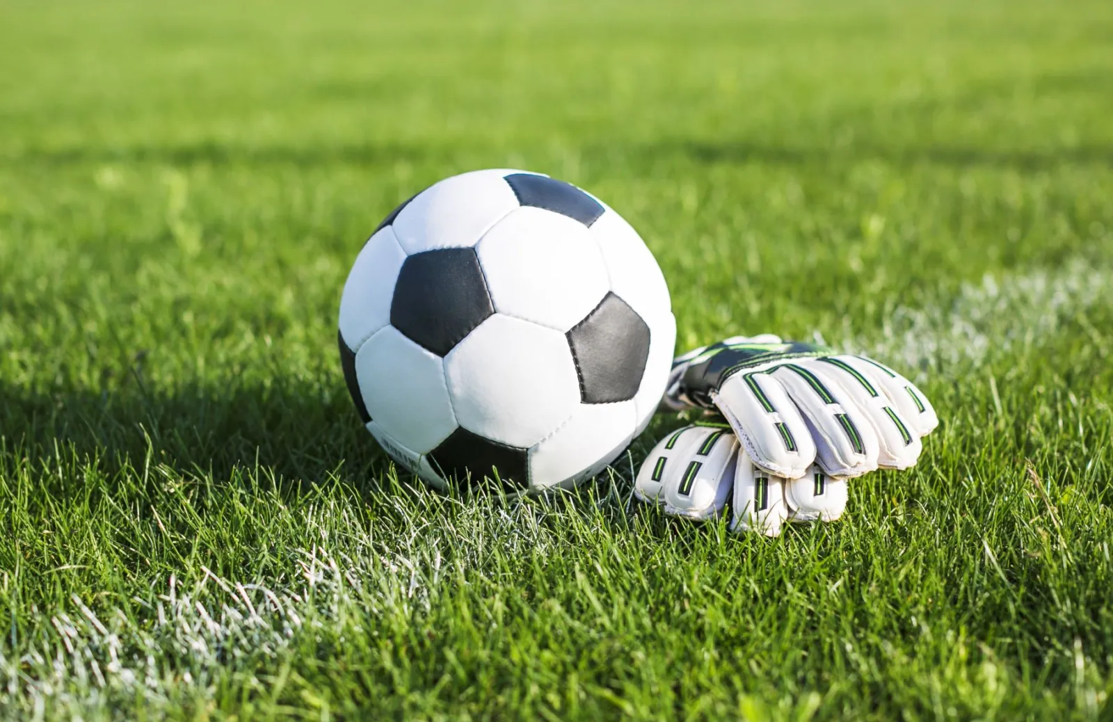 Soccer ball with gloves
