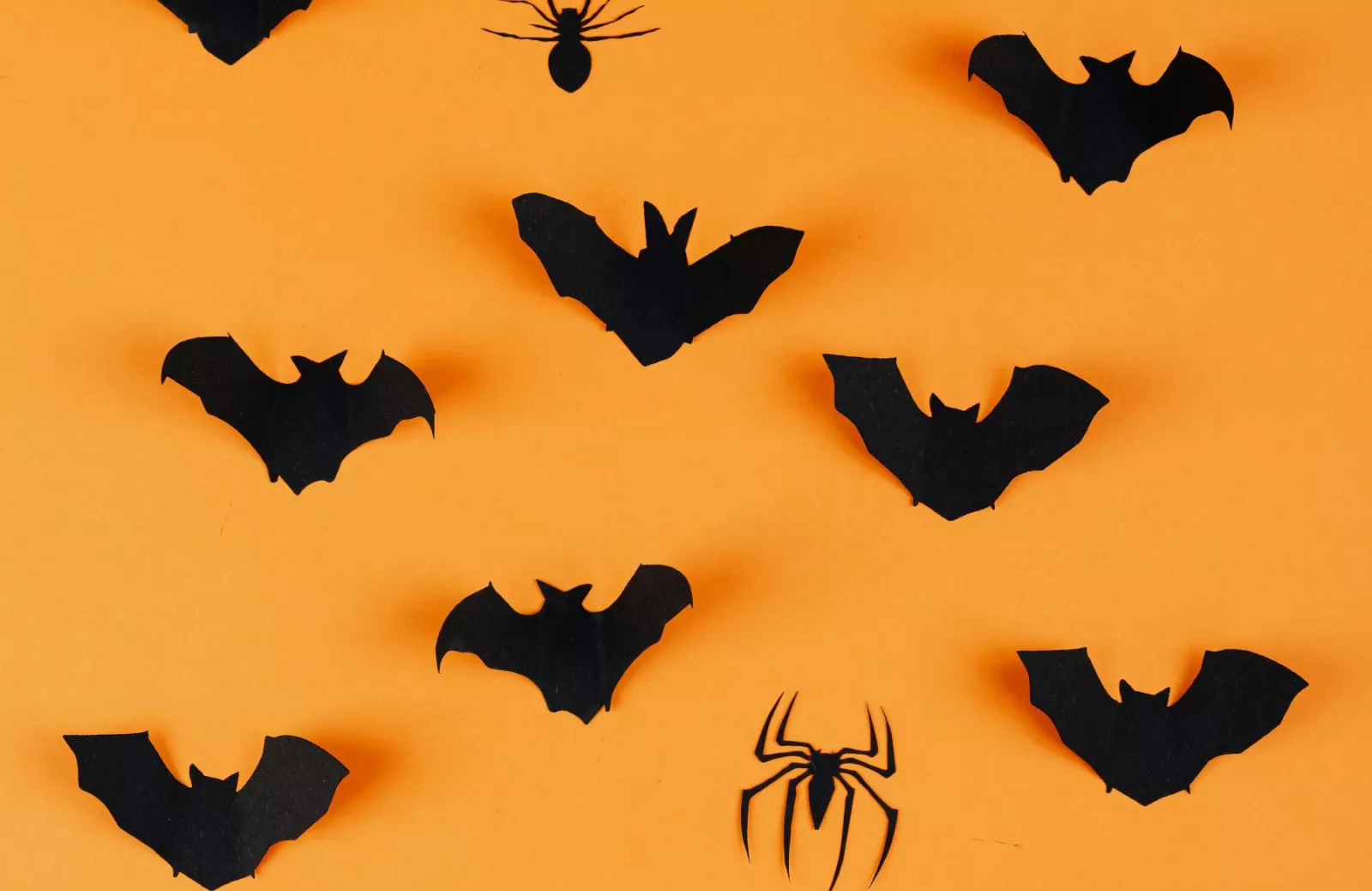Halloween decor