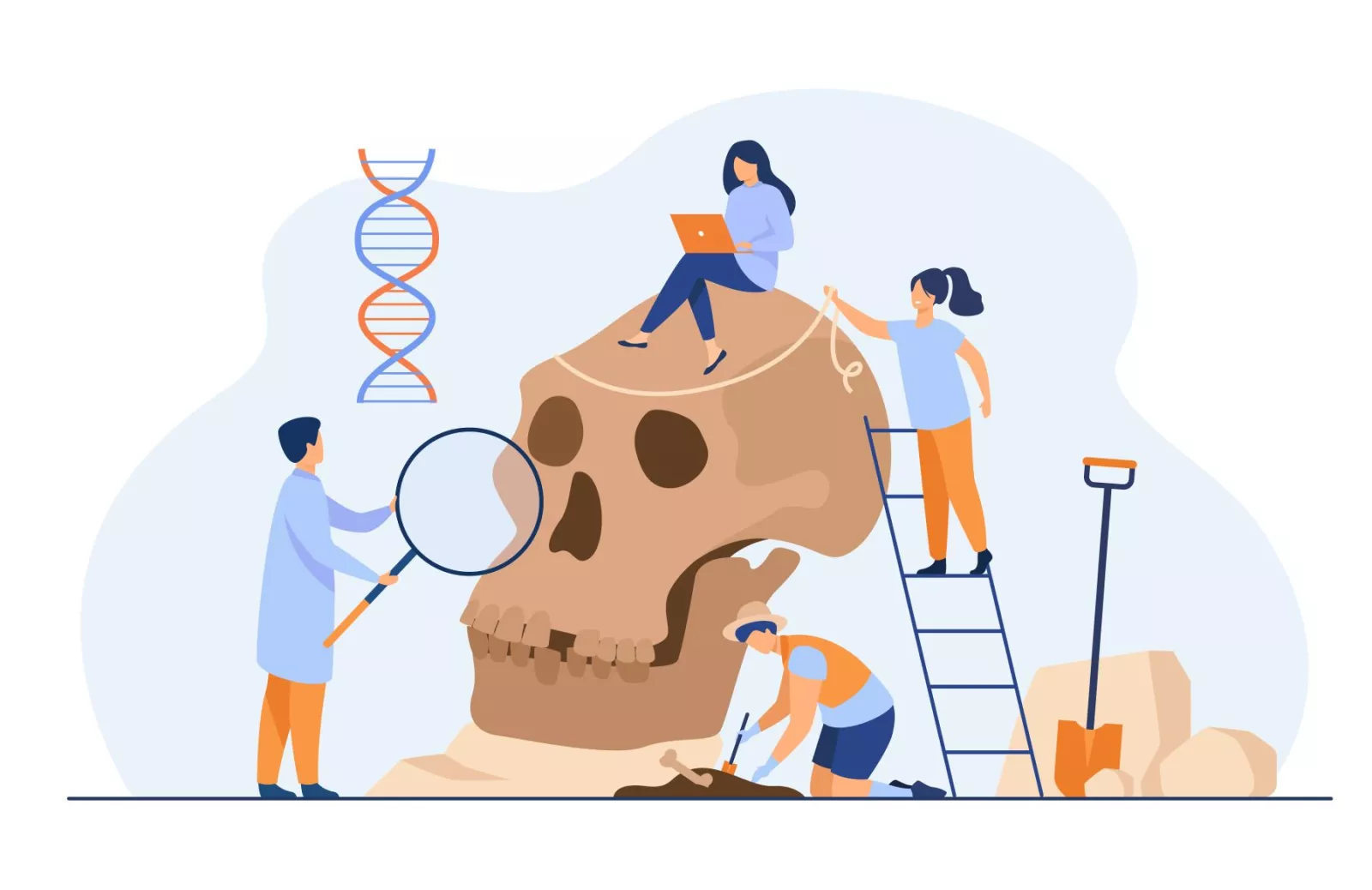 anthropology