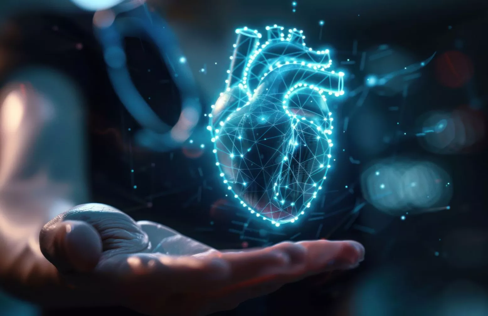 digital-heart-model
