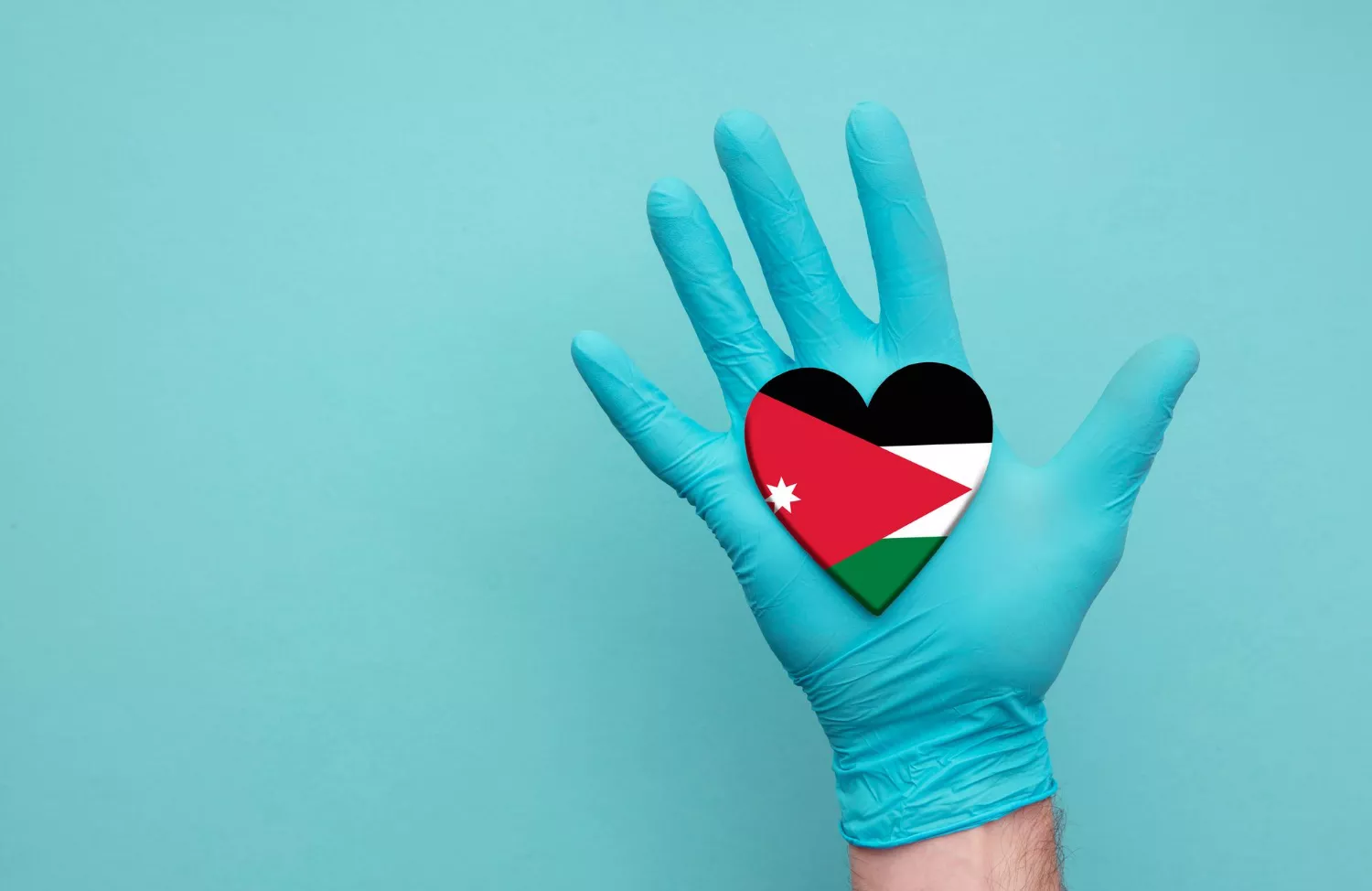 Palestine Health Care heart
