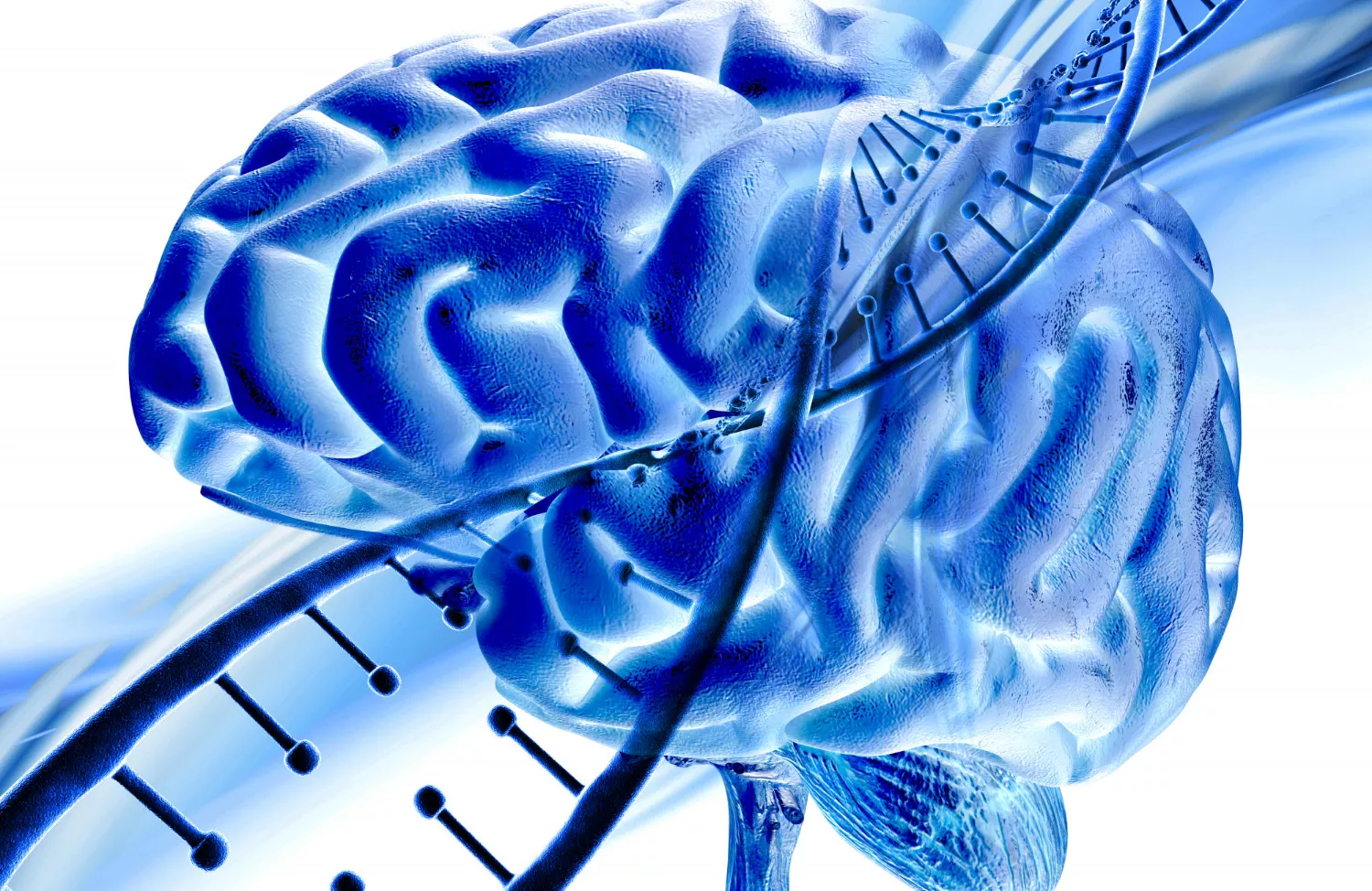 Science and Brain