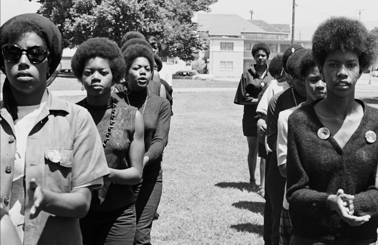 Black Panthers STOCK