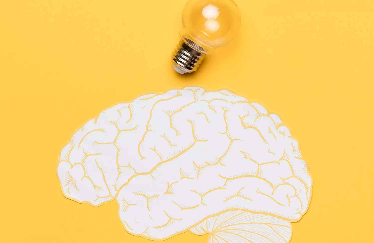 brain stock