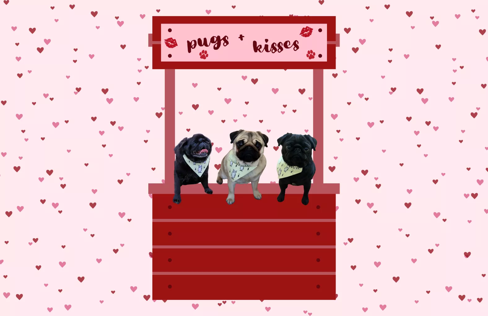 Pugs and Kisses 