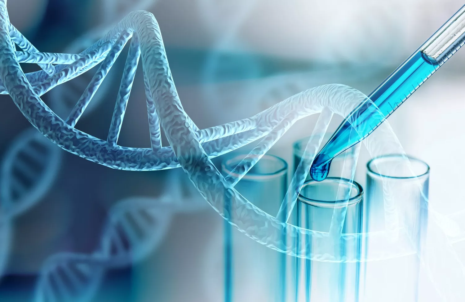 BioChem Stock