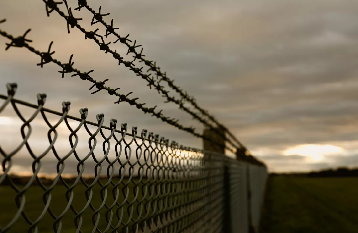 wire gate stock