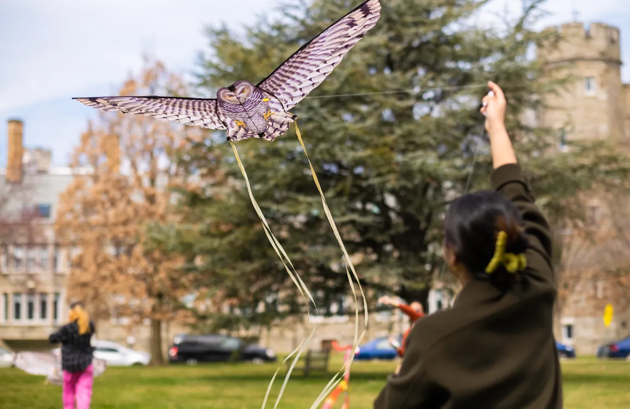 kite