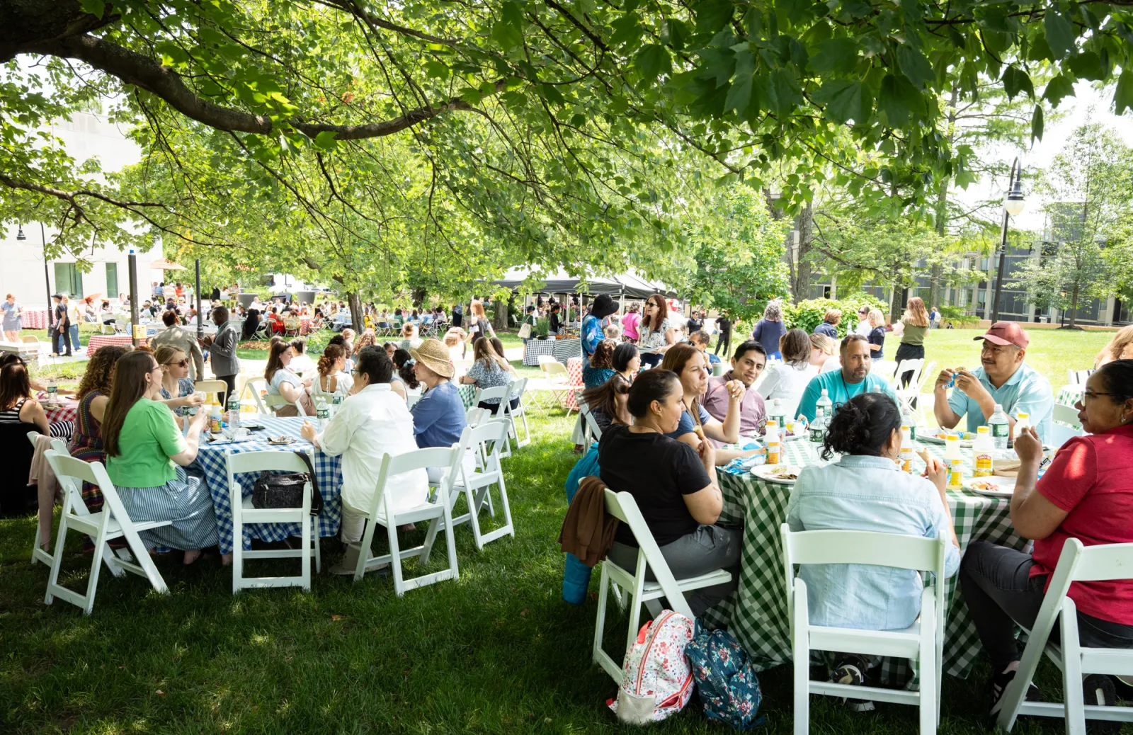 Staff sitting at tables under trees