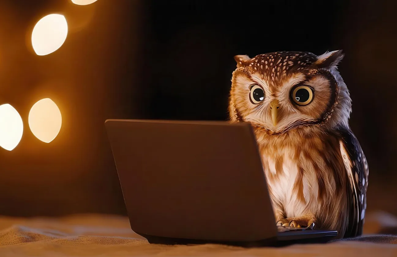 owl at laptop ai stock
