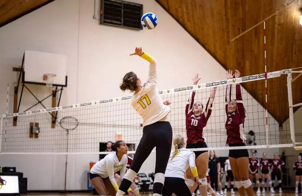 volleyball action shot