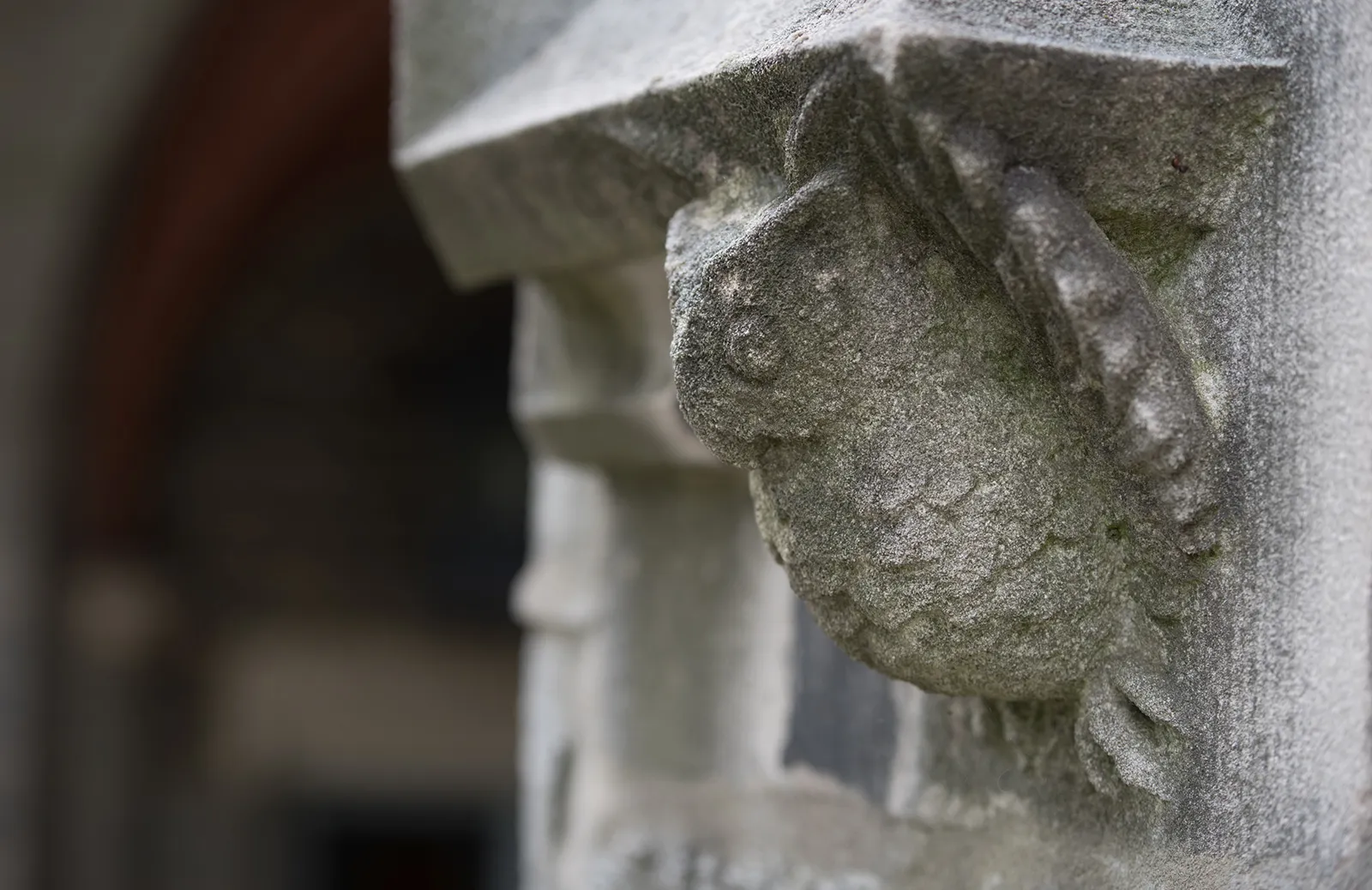 Event Image Placeholder - Default Image 2