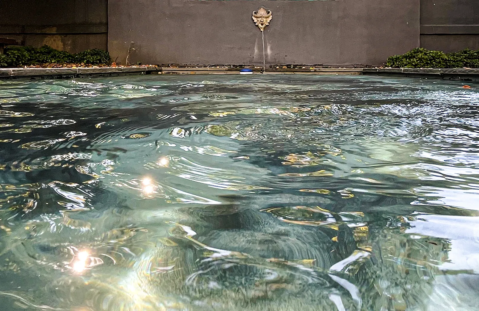 Event Image Placeholder - Default Image 11