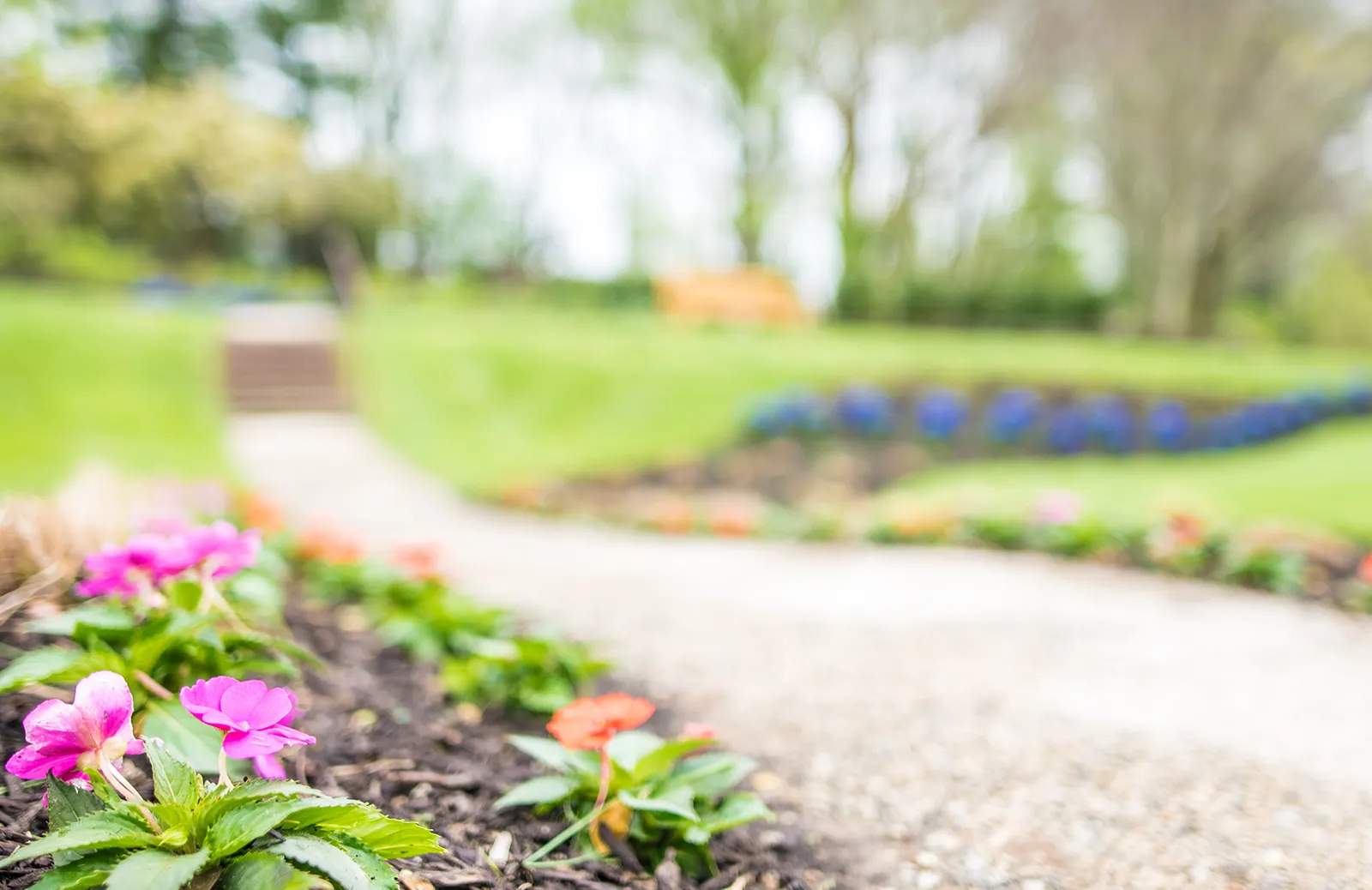 Event Image Placeholder - Default Image 36